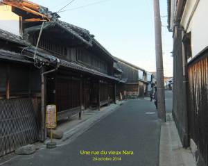 08-vieux-Nara