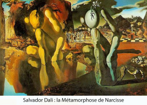 11-Metamorphose-Narcisse