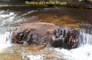 5-mille-lingas
