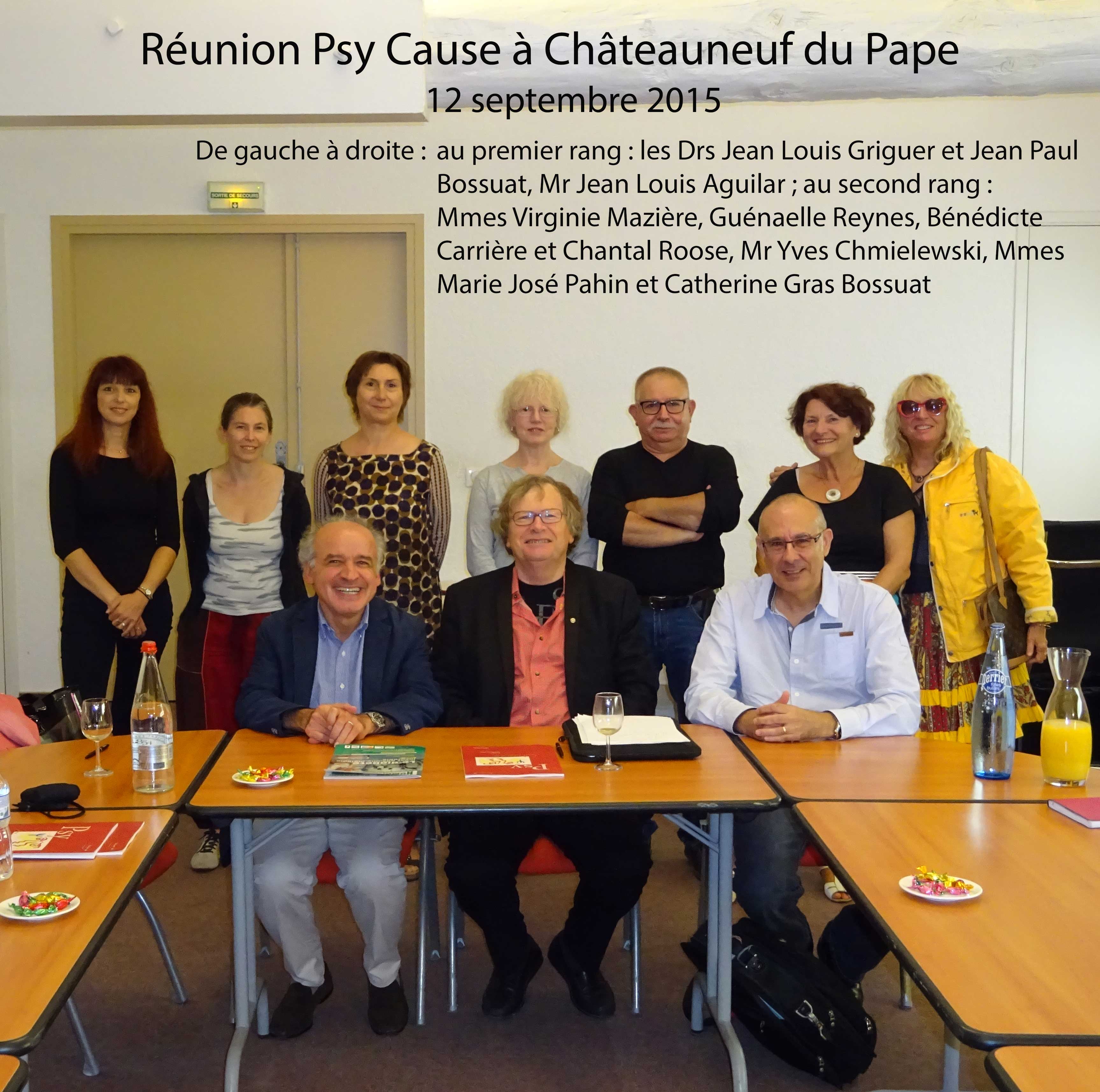 Un nouvel élan de Psy Cause France : réunion du 12 septembre 2015