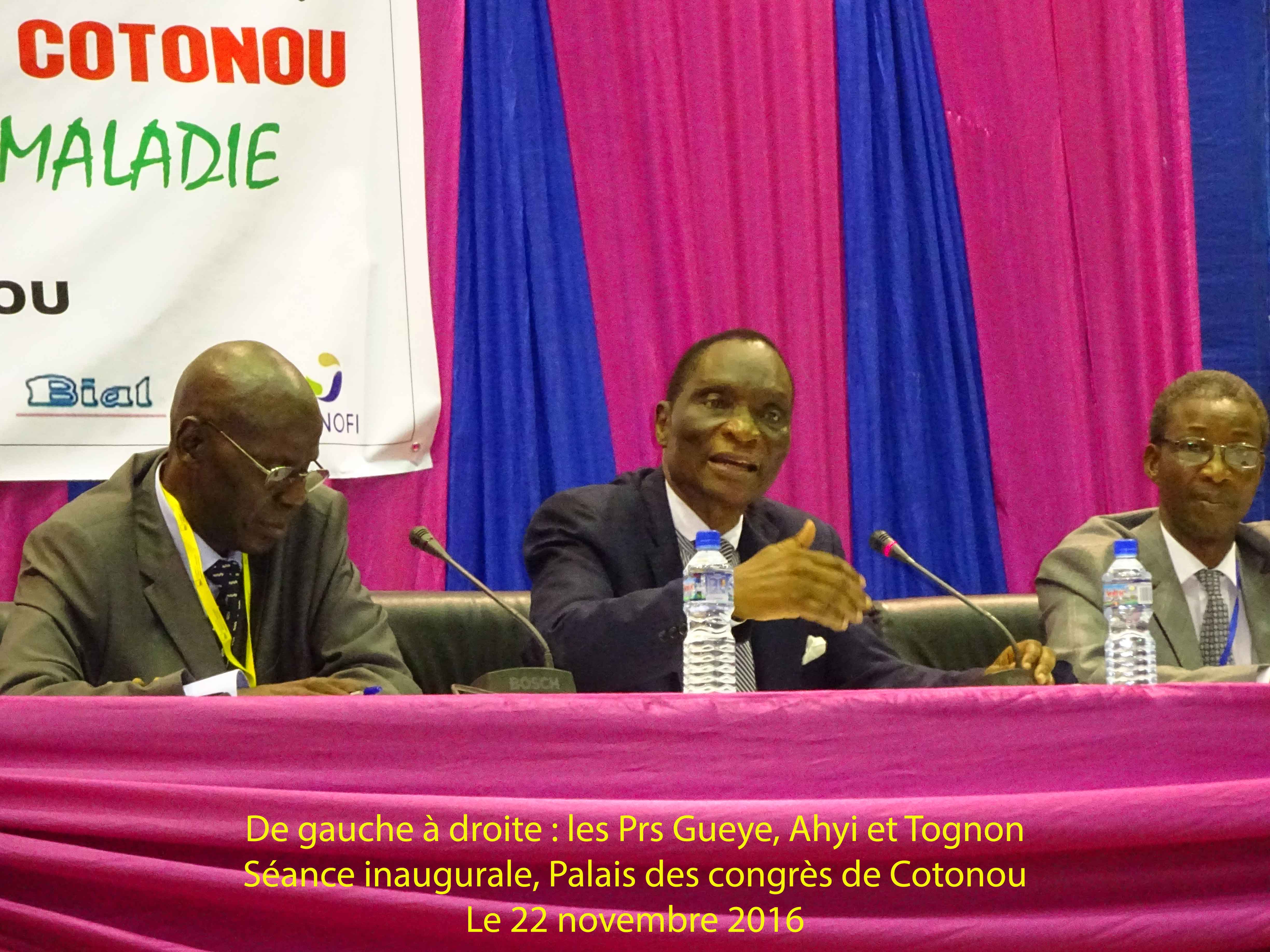 Rencontres au congrès de santé mentale de novembre 2016 à Cotonou (Volet 1)
