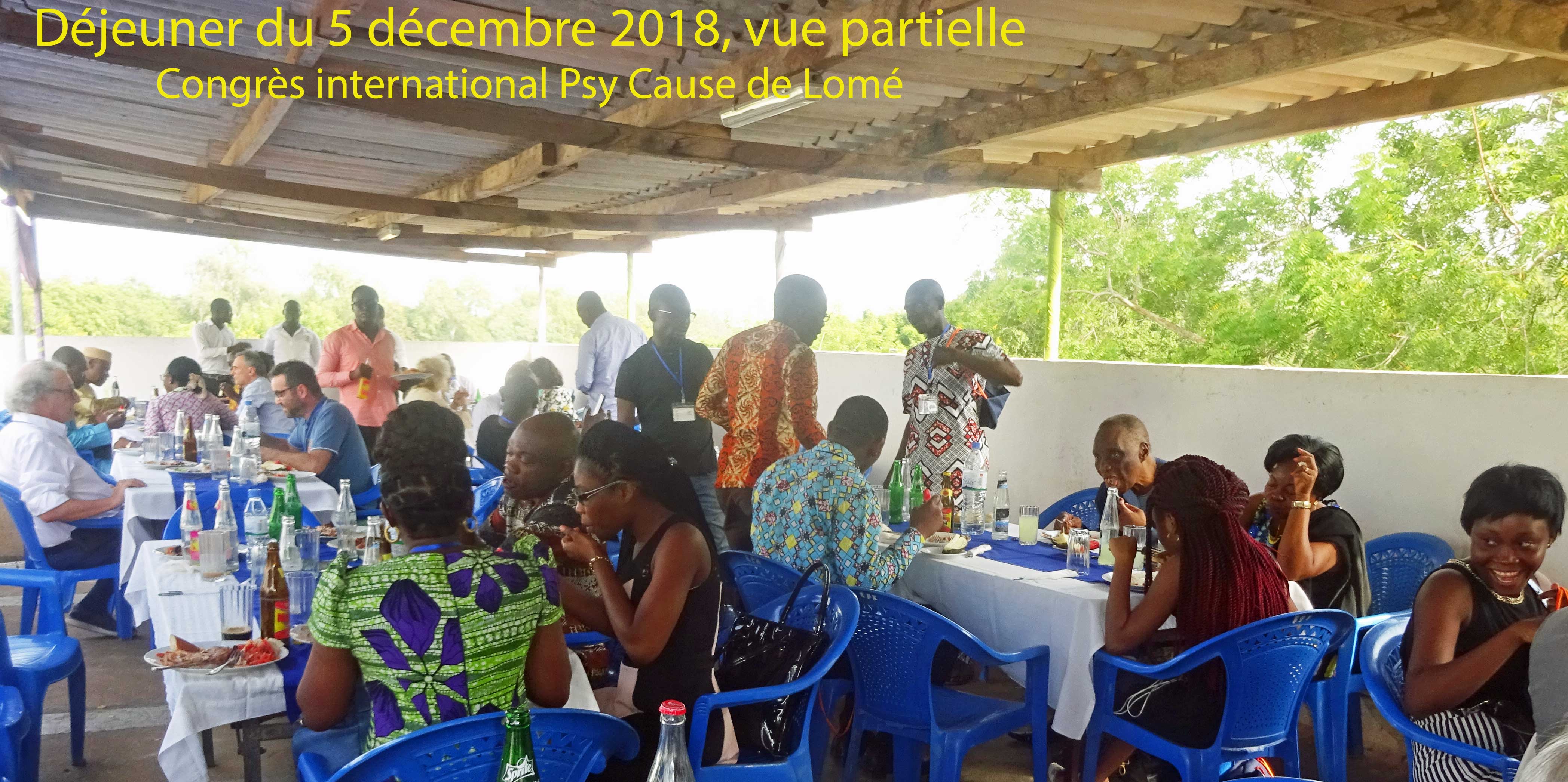 XIIème congrès international de Psy Cause à Lomé (4 et 5 décembre 2018). Carnet N°5